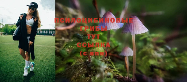 прущие грибы Беломорск