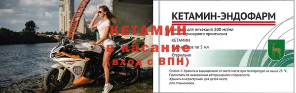 ПСИЛОЦИБИНОВЫЕ ГРИБЫ Белокуриха