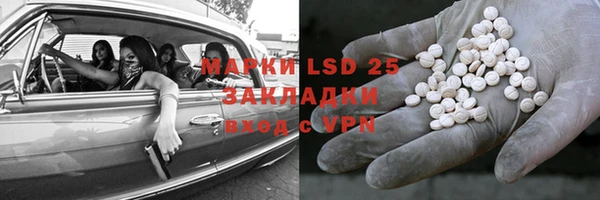 прущие грибы Беломорск