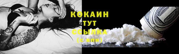 прущие грибы Беломорск