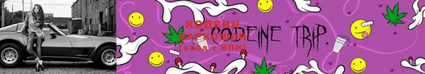 ПСИЛОЦИБИНОВЫЕ ГРИБЫ Белокуриха
