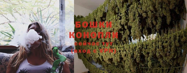 ПСИЛОЦИБИНОВЫЕ ГРИБЫ Белокуриха