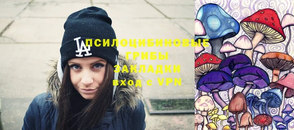 ПСИЛОЦИБИНОВЫЕ ГРИБЫ Белокуриха