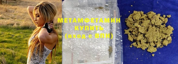 прущие грибы Беломорск
