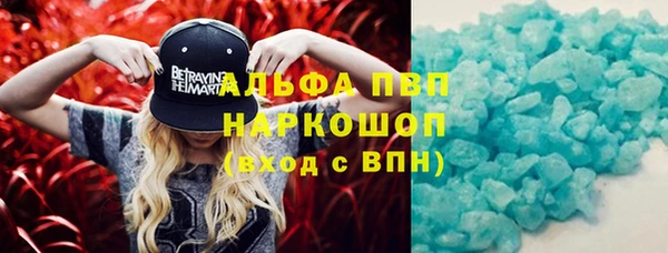 прущие грибы Беломорск