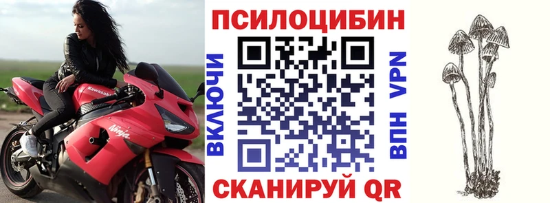 Псилоцибиновые грибы Cubensis  Пойковский 